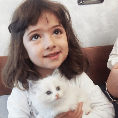 allevamento di ragdoll adatto per bambini e pet therapy cuccioli di ragdoll socializzati