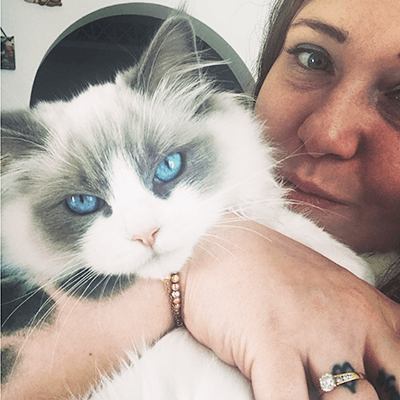 valeria franco allevatrice ragdoll titolare allevamento bon bon's kitty