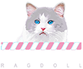 allevamento bon bon's kitty piemonte logo cuccioli disponibili